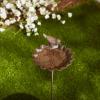 imageDII Cast Iron Collection Decorative Bird Bath Flower 575 x 575 x 29Flower