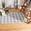 imageDII Outdoor Rugs Collection Reversible Buffalo Check 4x6 Gray ampamp WhiteGray  White