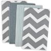 Gray Chevron