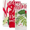 imageDII Christmas Fun Collection Printed Dishtowel Set 18x28 North Pole 3 PiecePrinted Holly