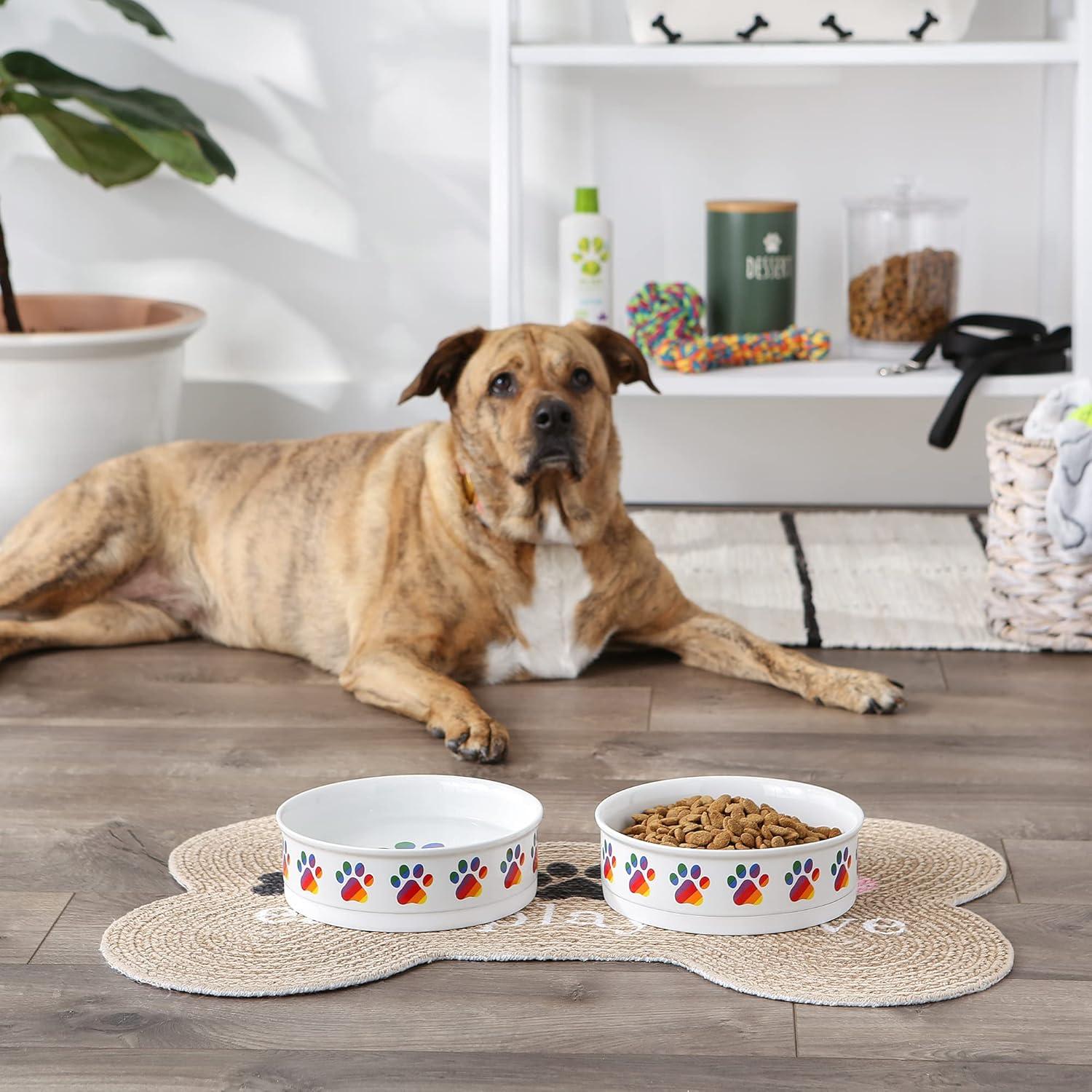 imageBone Dry Ceramic Food ampamp Water Bowls for Pets NonSlip for Secure Less Messy Feeding Microwave ampamp Dishwasher Safe Single Dish Large 75x24quot Red White ampamp BlueRainbow Paw