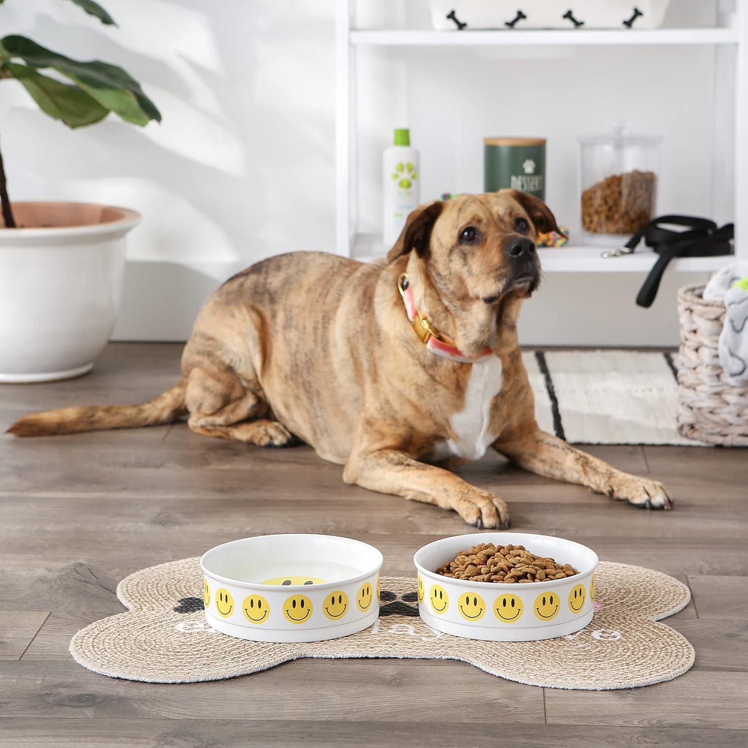 imageBone Dry Ceramic Food ampamp Water Bowls for Pets NonSlip for Secure Less Messy Feeding Microwave ampamp Dishwasher Safe Single Dish Large 75x24quot Red White ampamp BlueSmiley Face