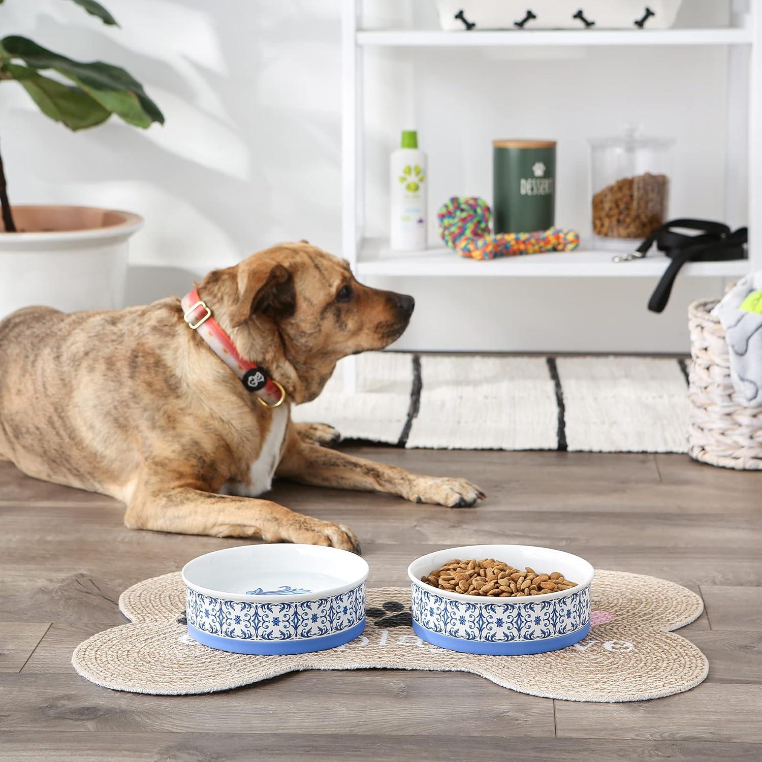 imageBone Dry Ceramic Food ampamp Water Bowls for Pets NonSlip for Secure Less Messy Feeding Microwave ampamp Dishwasher Safe Single Dish Large 75x24quot Red White ampamp BlueBlue Tile