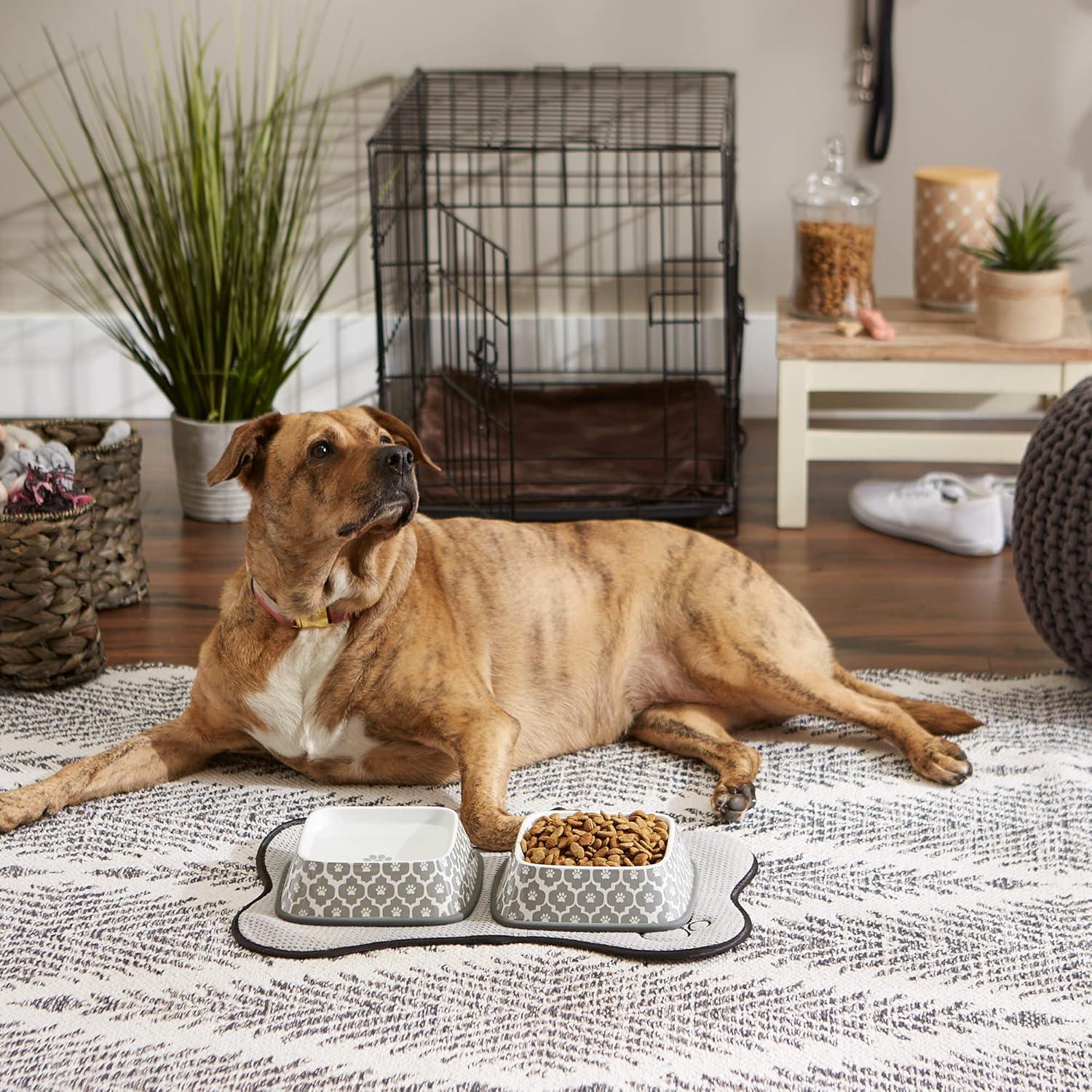 imageBone Dry Lattice Collection Pet Bowl ampamp Canister Large Set 75x24quot Nautical Blue 2 PieceGray
