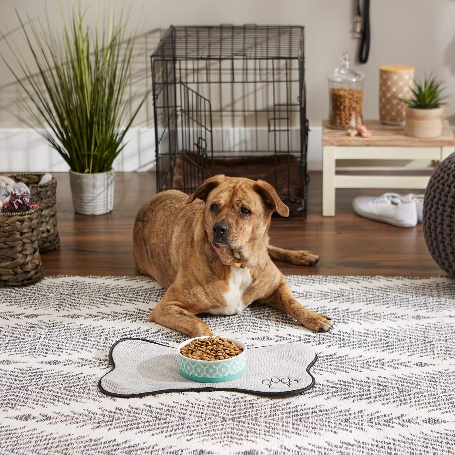 imageBone Dry Lattice Collection Pet Bowl ampamp Canister Single Dish Large 75x24quot Nautical BlueAqua
