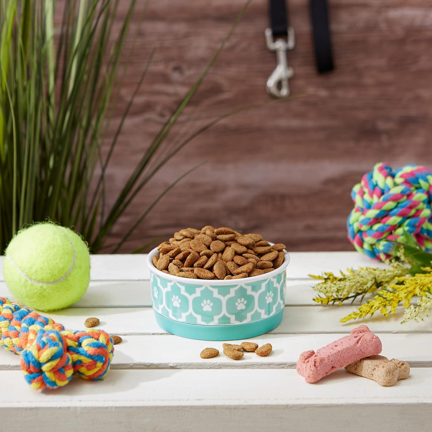 imageBone Dry Lattice Collection Pet Bowl ampamp Canister Single Dish Large 75x24quot Nautical BlueAqua