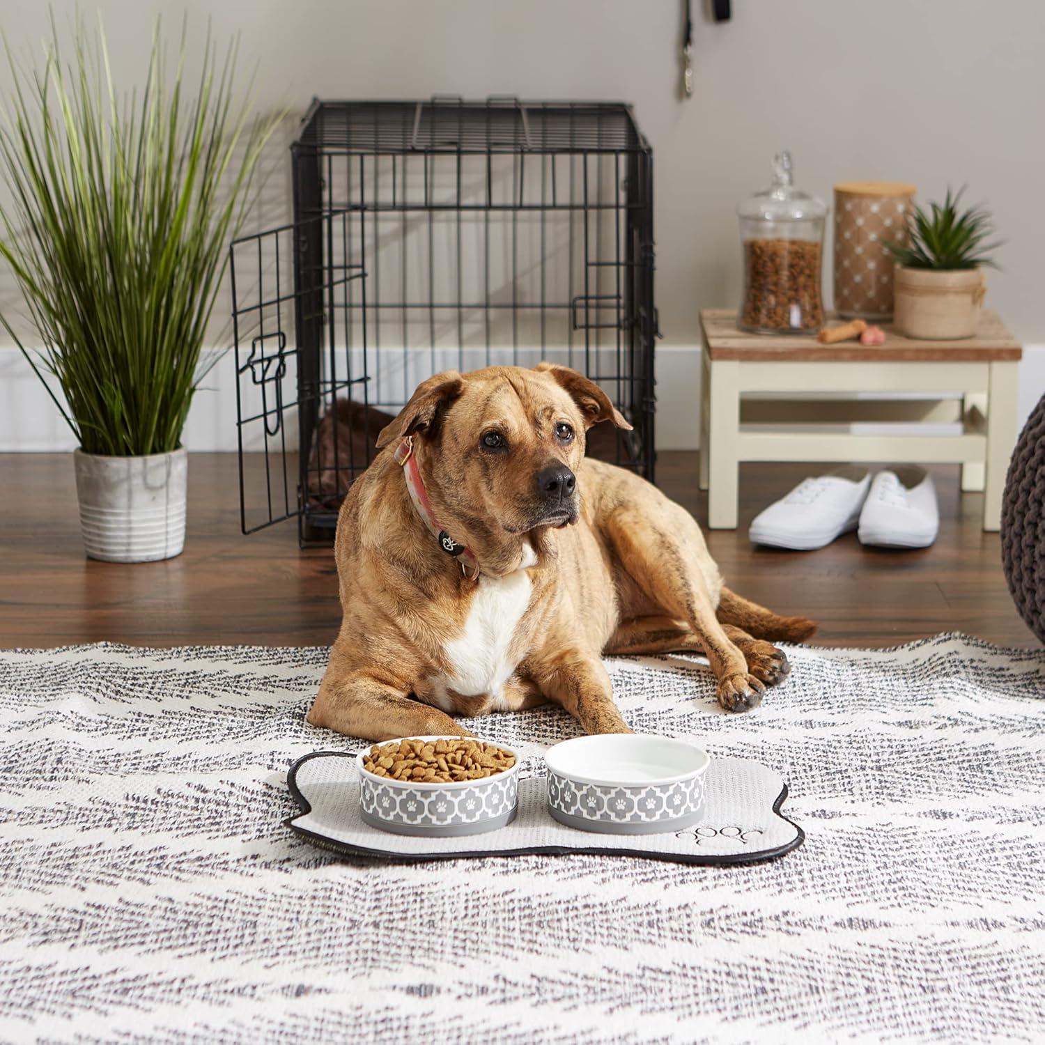 imageBone Dry Lattice Collection Pet Bowl ampamp Canister Single Dish Large 75x24quot Nautical BlueGray