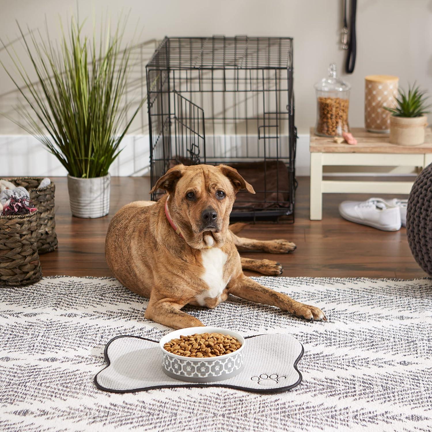 imageBone Dry Lattice Collection Pet Bowl ampamp Canister Single Dish Large 75x24quot Nautical BlueGray