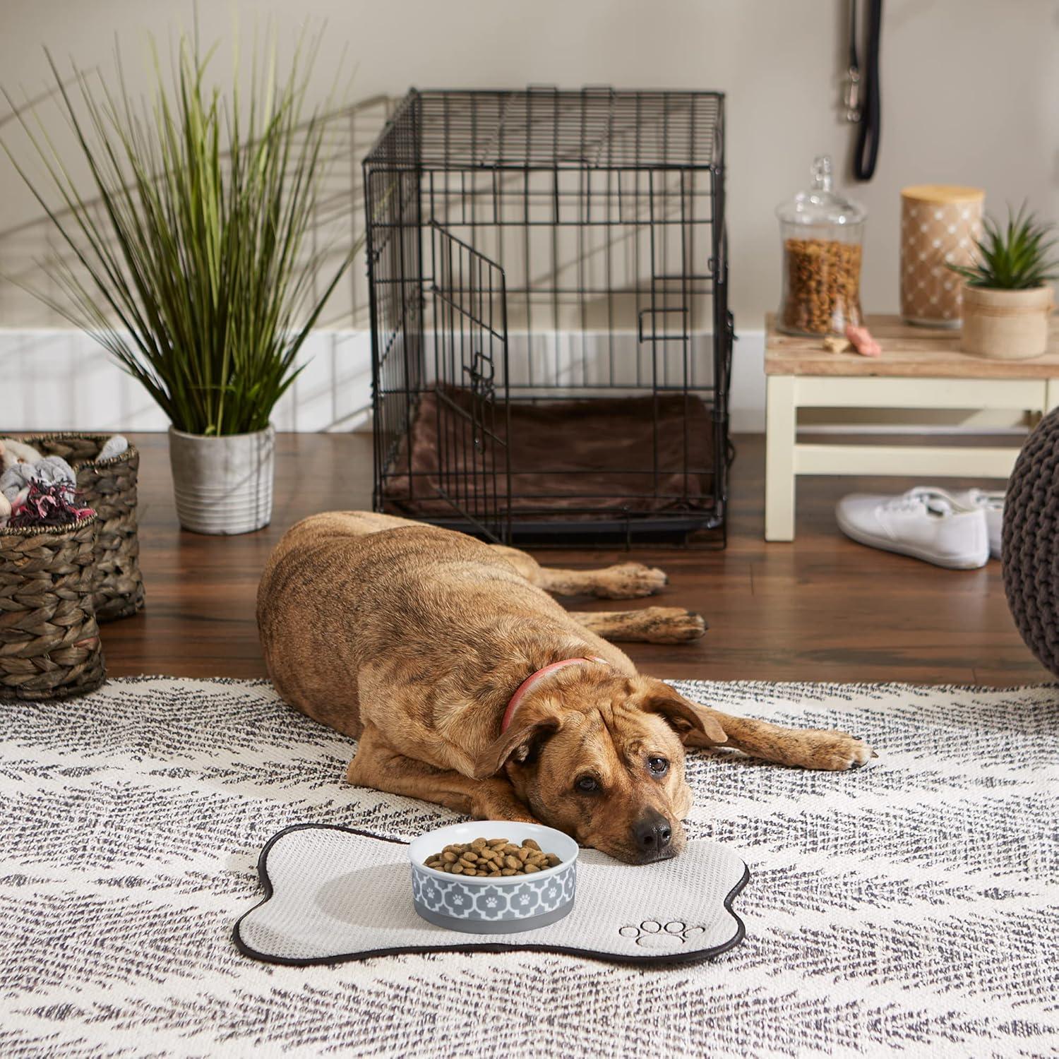 imageBone Dry Lattice Collection Pet Bowl ampamp Canister Single Dish Large 75x24quot Nautical BlueGray
