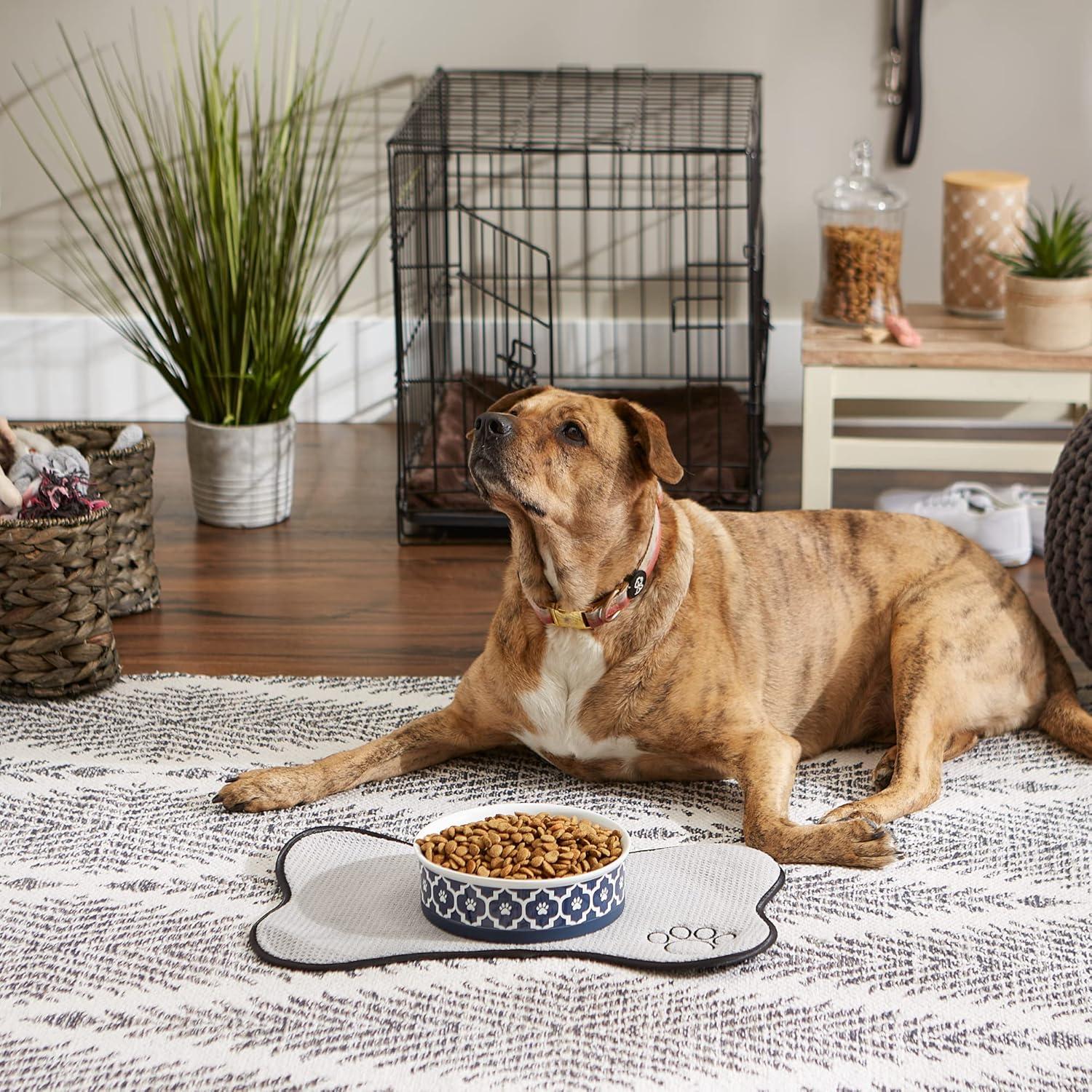 imageBone Dry Lattice Collection Pet Bowl ampamp Canister Single Dish Large 75x24quot Nautical BlueNautical Blue