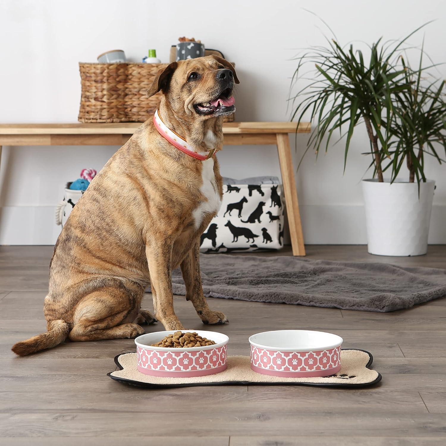 imageBone Dry Lattice Collection Pet Bowl ampamp Canister Single Dish Large 75x24quot Nautical BlueRose