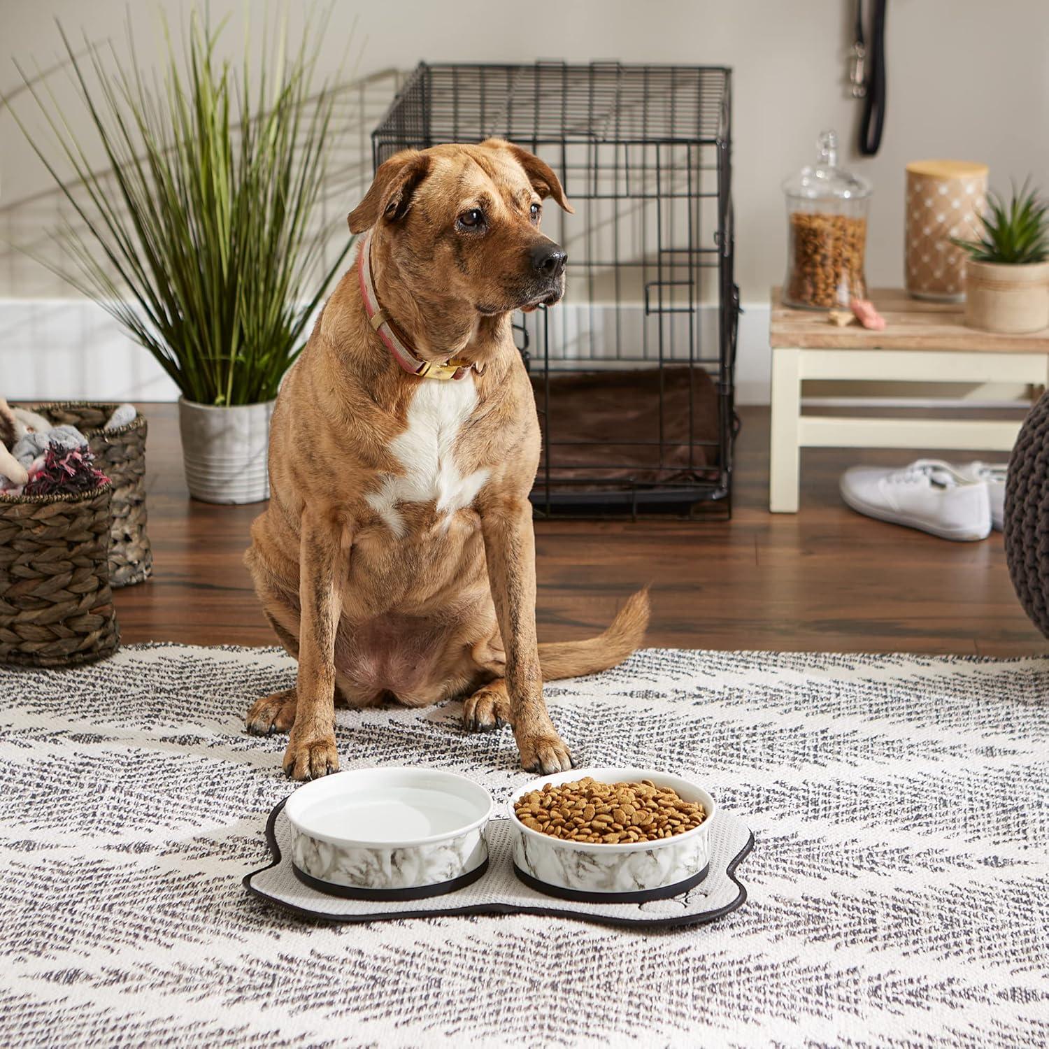 imageBone Dry Pet Bowl Collection Ceramic Set Small Marble 2 Count WhiteWhite