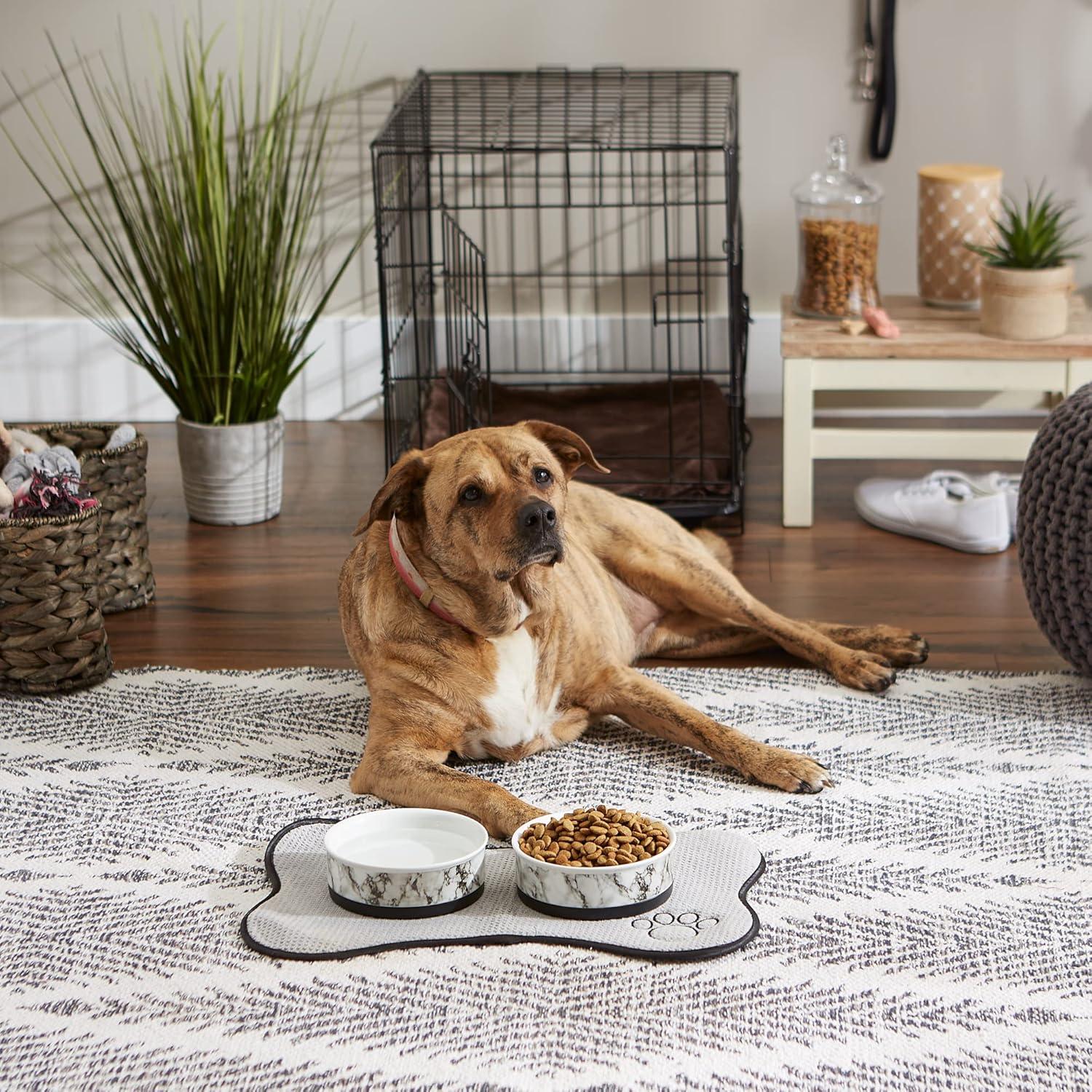 imageBone Dry Pet Bowl Collection Ceramic Set Small Marble 2 Count WhiteWhite