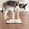 imageBone Dry Ceramic Food ampamp Water Bowls for Pets NonSlip for Secure Less Messy Feeding Microwave ampamp Dishwasher Safe Single Dish Large 75x24quot Red White ampamp BlueTerrazzo