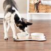 imageBone Dry Ceramic Food ampamp Water Bowls for Pets NonSlip for Secure Less Messy Feeding Microwave ampamp Dishwasher Safe Single Dish Large 75x24quot Red White ampamp BlueTerrazzo