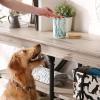 imageBone Dry Ceramic Marble Treat Jar for Pets Dishwasher Safe Dishwasher Safe Bamboo Lid  Push ampamp Twist to Close Canister 4x65 WhiteTeal