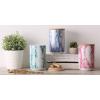 imageBone Dry Ceramic Marble Treat Jar for Pets Dishwasher Safe Dishwasher Safe Bamboo Lid  Push ampamp Twist to Close Canister 4x65 WhiteTeal