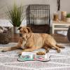 imageBone Dry Hungry ampamp Thirsty Pet Bowl 675 x 675 x 2 Nautical Blue 2 PieceEmojis