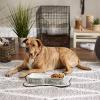 imageBone Dry Hungry ampamp Thirsty Pet Bowl 675 x 675 x 2 Nautical Blue 2 PieceGray