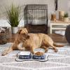 imageBone Dry Hungry ampamp Thirsty Pet Bowl 675 x 675 x 2 Nautical Blue 2 PieceNautical Blue