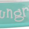 imageBone Dry Hungry ampamp Thirsty Pet Bowl 675 x 675 x 2quot Aqua 2 Piece