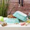 imageBone Dry Hungry ampamp Thirsty Pet Bowl 675 x 675 x 2quot Aqua 2 Piece