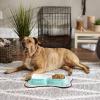 imageBone Dry Hungry ampamp Thirsty Pet Bowl 675 x 675 x 2quot Aqua 2 Piece