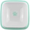 imageBone Dry Hungry ampamp Thirsty Pet Bowl 675 x 675 x 2quot Aqua 2 Piece