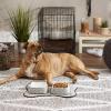 imageBone Dry Lattice Collection Pet Bowl ampamp Canister Large Set 75x24quot Nautical Blue 2 PieceGray