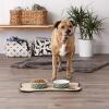 imageBone Dry Lattice Collection Pet Bowl ampamp Canister Large Set 75x24quot Nautical Blue 2 PieceHunter Green