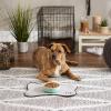 imageBone Dry Lattice Collection Pet Bowl ampamp Canister Single Dish Large 75x24quot Nautical BlueAqua