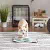 imageBone Dry Lattice Collection Pet Bowl ampamp Canister Single Dish Large 75x24quot Nautical BlueAqua