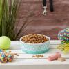 imageBone Dry Lattice Collection Pet Bowl ampamp Canister Single Dish Large 75x24quot Nautical BlueAqua