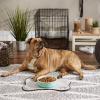 imageBone Dry Lattice Collection Pet Bowl ampamp Canister Single Dish Large 75x24quot Nautical BlueAqua