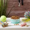 imageBone Dry Lattice Collection Pet Bowl ampamp Canister Single Dish Large 75x24quot Nautical BlueAqua