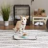 imageBone Dry Lattice Collection Pet Bowl ampamp Canister Single Dish Large 75x24quot Nautical BlueAqua