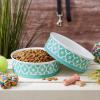 imageBone Dry Lattice Collection Pet Bowl ampamp Canister Single Dish Large 75x24quot Nautical BlueAqua