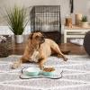 imageBone Dry Lattice Collection Pet Bowl ampamp Canister Single Dish Large 75x24quot Nautical BlueAqua