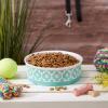 imageBone Dry Lattice Collection Pet Bowl ampamp Canister Single Dish Large 75x24quot Nautical BlueAqua