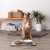 imageBone Dry Lattice Collection Pet Bowl ampamp Canister Single Dish Large 75x24quot Nautical BlueBlack