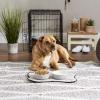 imageBone Dry Lattice Collection Pet Bowl ampamp Canister Single Dish Large 75x24quot Nautical BlueGray