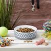 imageBone Dry Lattice Collection Pet Bowl ampamp Canister Single Dish Large 75x24quot Nautical BlueGray