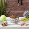 imageBone Dry Lattice Collection Pet Bowl ampamp Canister Single Dish Large 75x24quot Nautical BlueGray