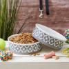 imageBone Dry Lattice Collection Pet Bowl ampamp Canister Single Dish Large 75x24quot Nautical BlueGray