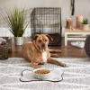 imageBone Dry Lattice Collection Pet Bowl ampamp Canister Single Dish Large 75x24quot Nautical BlueGray