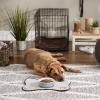 imageBone Dry Lattice Collection Pet Bowl ampamp Canister Single Dish Large 75x24quot Nautical BlueGray
