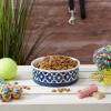 imageBone Dry Lattice Collection Pet Bowl ampamp Canister Single Dish Large 75x24quot Nautical BlueNautical Blue