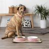 imageBone Dry Lattice Collection Pet Bowl ampamp Canister Single Dish Large 75x24quot Nautical BlueRose