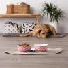 imageBone Dry Lattice Collection Pet Bowl ampamp Canister Single Dish Large 75x24quot Nautical BlueRose