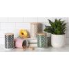 imageBone Dry Lattice Collection Pet Bowl ampamp Canister Treat Canister 4x65quot Nautical BlueHunter Green